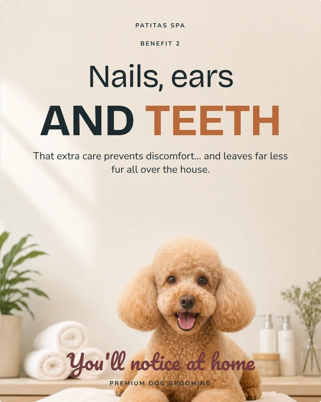 Dog grooming