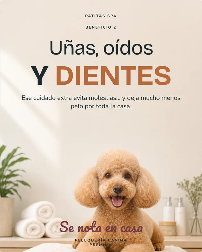 Peluquería canina