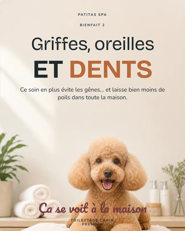 Toilettage canin